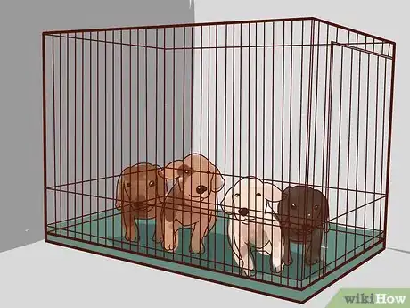 Image intitulée Buy a Puppy Step 16