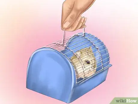 Image intitulée Care for Roborovski Hamsters Step 17