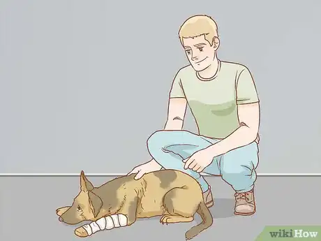 Image intitulée Help a Dog Recover from a Broken Leg Step 18