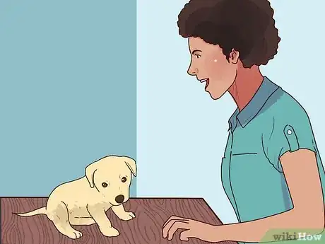 Image intitulée Buy a Puppy Step 18