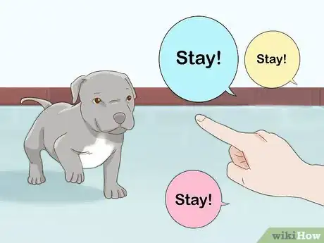 Image intitulée Take Care of a Pitbull Puppy Step 5