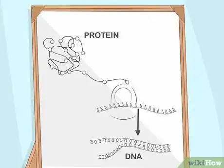 Image intitulée Study for Biology Step 6