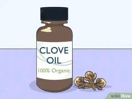 Image intitulée Use Clove Oil for Tooth Pain Step 1