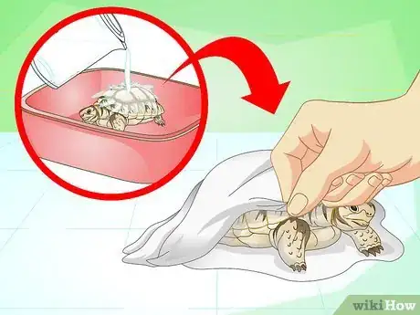 Image intitulée Bathe a Turtle Step 17