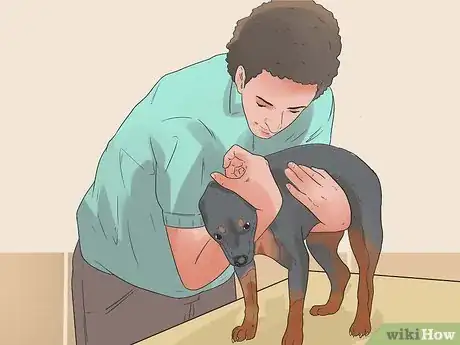 Image intitulée Pick up a Dog Properly Step 6