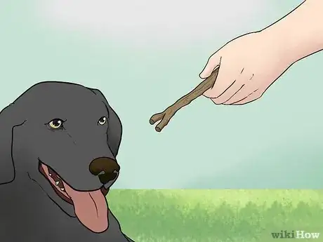 Image intitulée Keep a Dog Calm During Fireworks Step 14