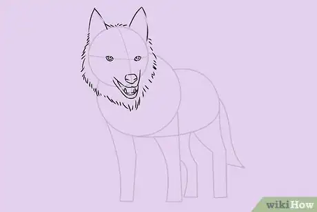 Image intitulée Draw a Wolf Step 15