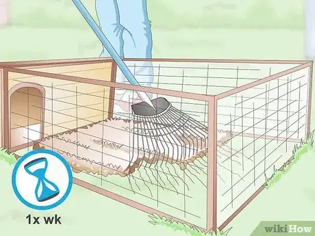 Image intitulée Care For Silkie Chickens Step 17