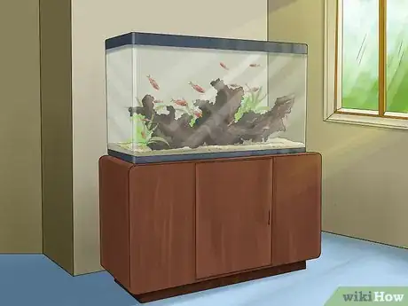 Image intitulée Set up a Healthy Goldfish Aquarium Step 2