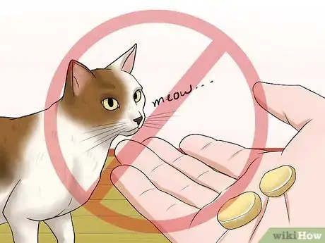 Image intitulée Get a Cat to Stop Meowing Step 11