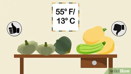 Image intitulée Grow Squash Step 19