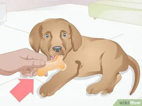 Image intitulée Calm a Puppy Step 2