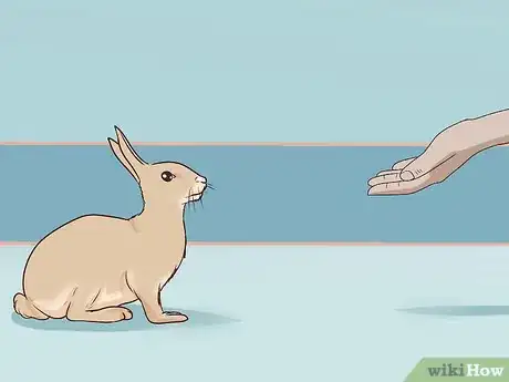 Image intitulée Pet a Rabbit Step 4