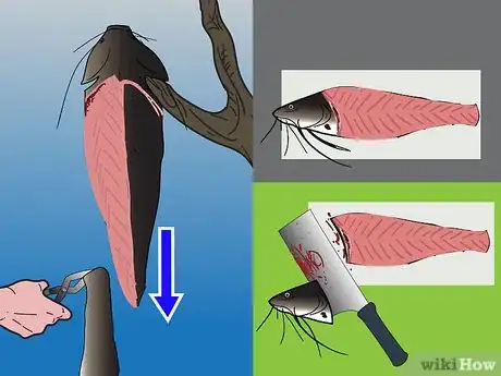 Image intitulée Skin and Clean Catfish Step 6