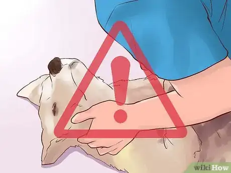 Image intitulée Prepare for a Puppy Step 12