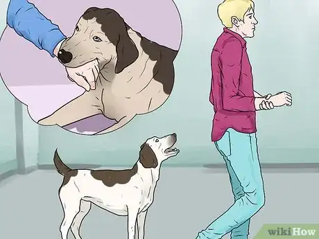 Image intitulée Punish a Dog Step 5