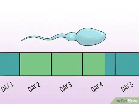 Image intitulée Have Sex During Your Period Step 9
