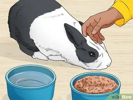 Image intitulée Stop a Rabbit's Biting Habit Step 11