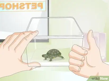 Image intitulée Keep a Turtle Healthy Step 10