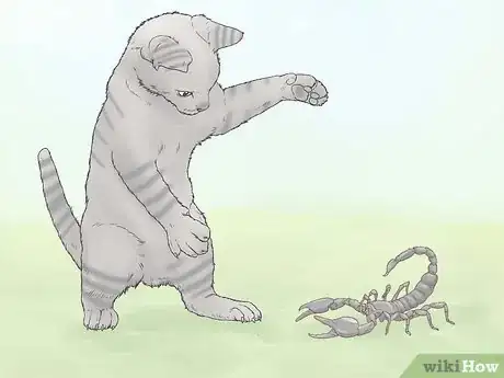 Image intitulée Kill a Scorpion Step 6