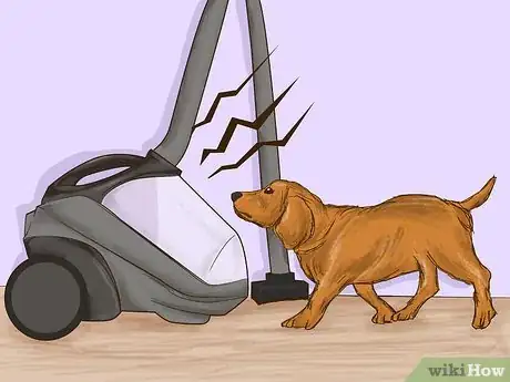 Image intitulée Teach Your Pet Not to be Scared of the Vacuum Cleaner Step 8