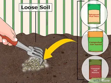 Image intitulée Acidify Soil Step 6