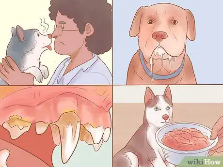 Image intitulée Keep Your Dog's Breath Fresh Step 10