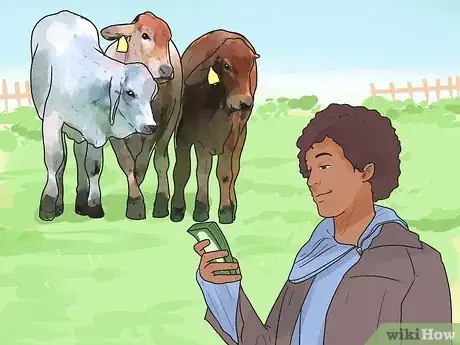 Image intitulée Raise Cattle Step 1