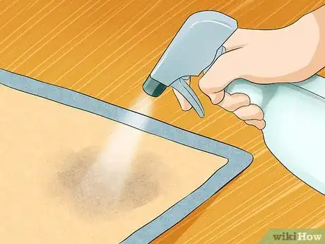 Image intitulée Clean a Litter Box Step 13