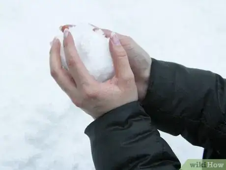 Image intitulée Make a Snowball Step 2