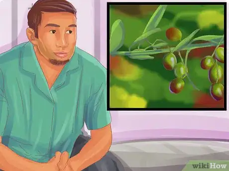 Image intitulée Grow Olives Step 17