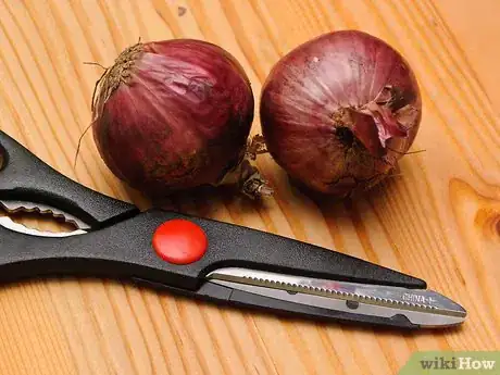 Image intitulée Store Onions Step 4