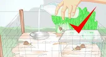 créer un élevage d'escargots