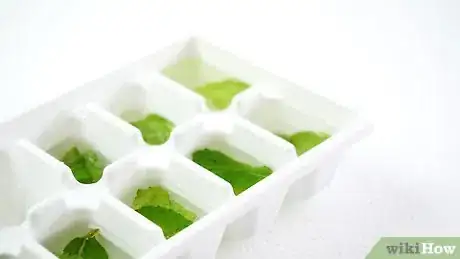 Image intitulée Keep Mint Leaves Fresh Step 12