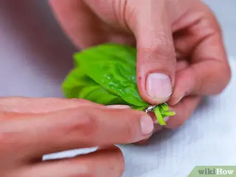 Image intitulée Dry Basil Step 5