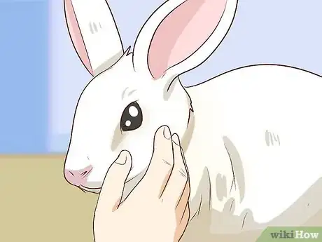 Image intitulée Pet a Rabbit Step 7