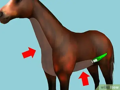 Image intitulée Clip Your Horse Step 1