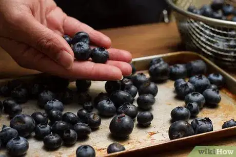 Image intitulée Freeze Blueberries Step 3