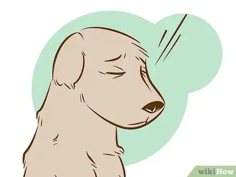 Image intitulée Recognize a Dying Dog Step 10