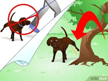 Image intitulée Stop Dog Marking Behaviors Step 16