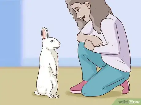 Image intitulée Pet a Rabbit Step 6