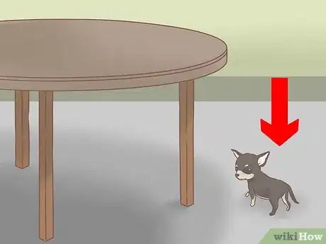 Image intitulée Care for Your Chihuahua Puppy Step 17