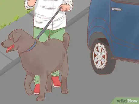 Image intitulée Travel by Car with Your Dog Step 10