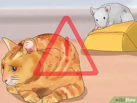 Image intitulée Take Care of Mice Step 14