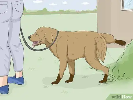 Image intitulée House Train Your Dog Step 1