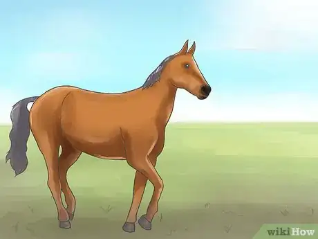 Image intitulée Name a Horse Step 1