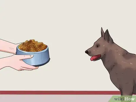 Image intitulée Get Your Dog to Swallow a Pill Step 3