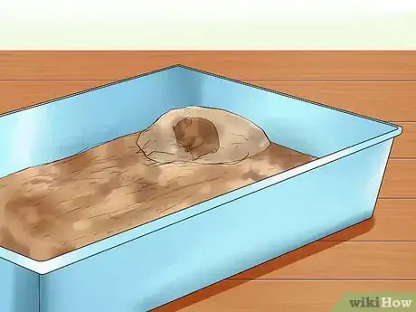 Image intitulée Care for Newborn Hamsters Step 4