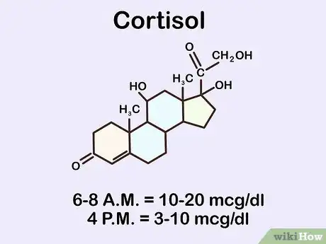 Image intitulée Test Cortisol Levels Step 7