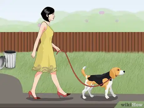 Image intitulée Help a Dog with Separation Anxiety Step 3